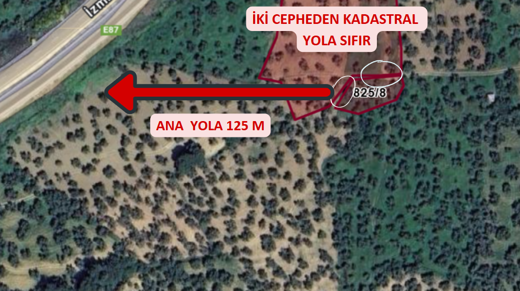 BALIKESİR BURHANİYE PELİTKÖY KÖYÜNDE 496 M² ZEYTİNLİK SATILIKTIR. - BALIKESİR BURHANİYE fotoğraf 3