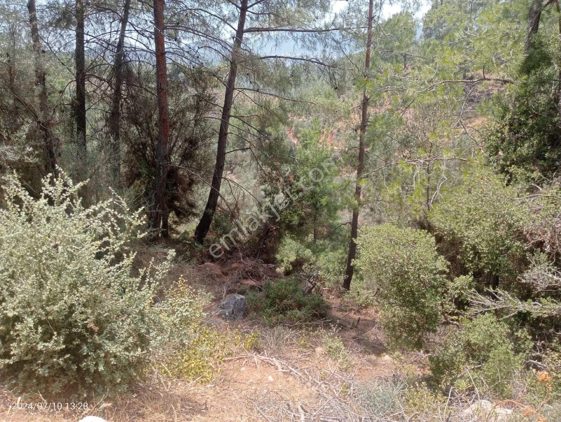 Antalya Kumluca Orta Köyde Satılık Tarla İnceoğlu Emlak - ANTALYA KUMLUCA fotoğraf 20
