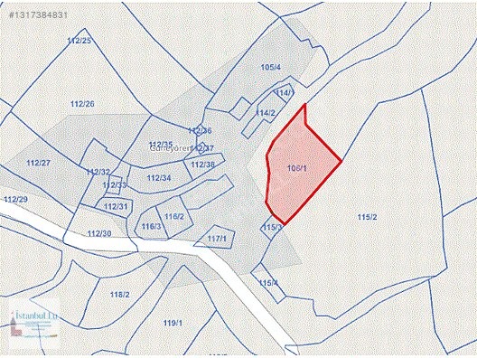 KÖY İÇİNDE YOLA CEPHELİ 2122 m2 - ÇORUM MERKEZ fotoğraf 7