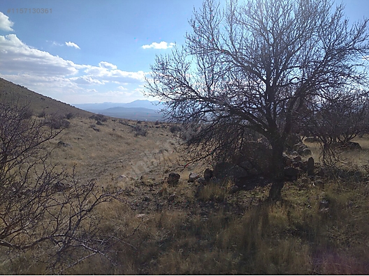   Karaman / Merkez / Kisecik Köyü 1,154M² TARLAMIZ SATILIKTIR.   - KARAMAN MERKEZ fotoğraf 8