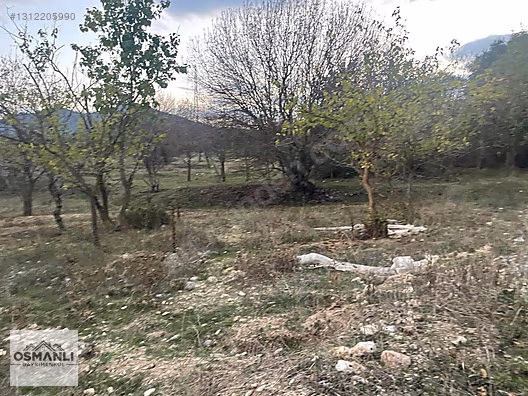 HAMİTABAT KÖYÜ VE SAKARYA NEHRİNE 200 MT MESAFEDE SERA ARAZİSİ - BİLECİK SÖĞÜT fotoğraf 12