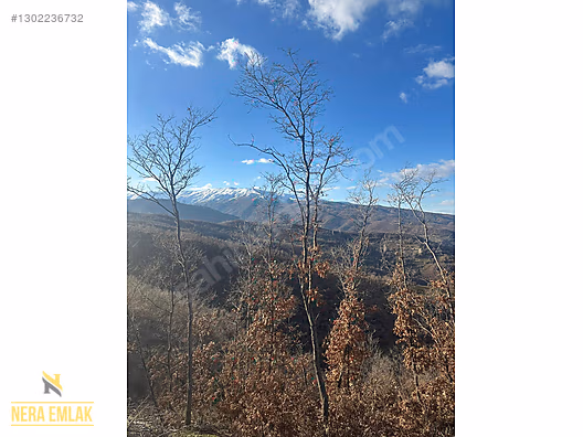 HORZUMKESERLER-İZMİR SARISU'YA YAKIN KADASTRO YOLLU 2.138m2 - MANİSA ALAŞEHİR fotoğraf 16