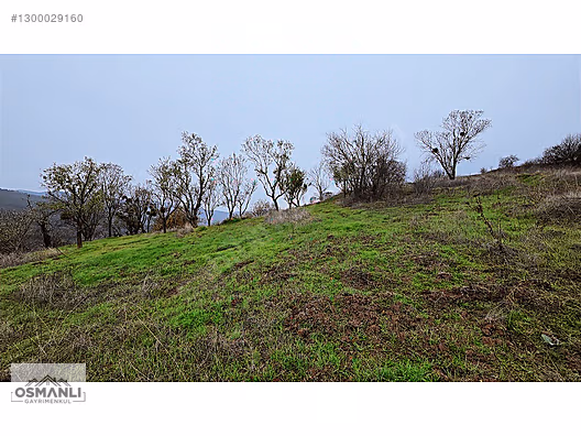 RESMİ YOLLU 800 M2 MANZARALI HOBİ BAHÇESİ - BİLECİK GÖLPAZARI fotoğraf 8