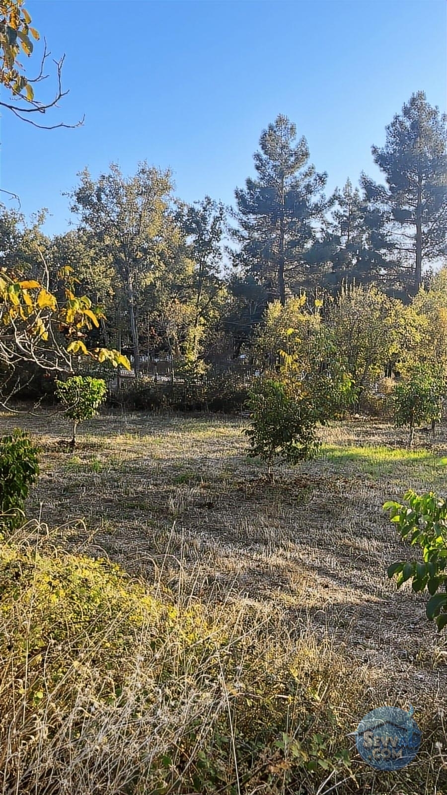 ASYA EVİM GAYRİMENKULDEN SAKARCA MAH.SATILIK ARAZİ - Burdur Ağlasun fotoğraf 14