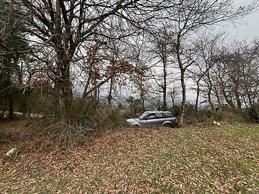 BALIKESİR İVRİNDİ BOZÖREN KÖYÜNDE 2.600 M² TARLA  SATILIKTIR - BALIKESİR İVRİNDİ fotoğraf 5
