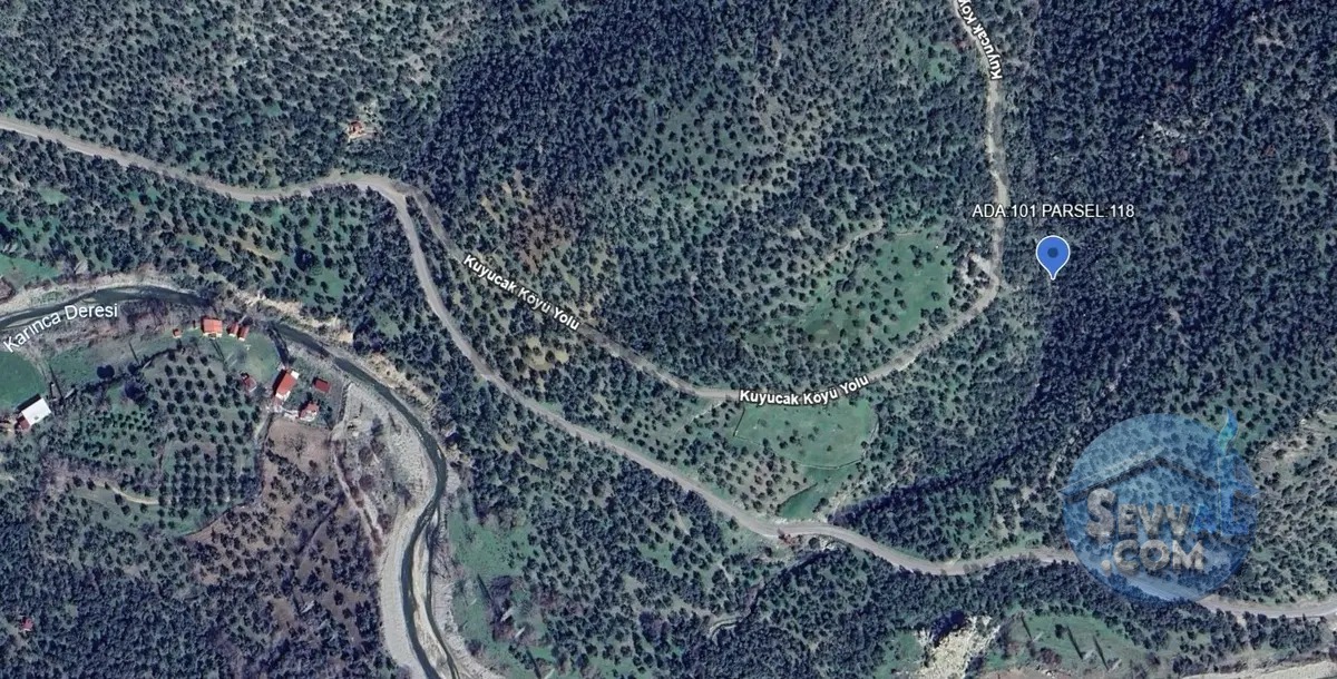 Burhaniye Kuyucakta Acil Satılık Zeytinlik - BALIKESİR BURHANİYE fotoğraf 3