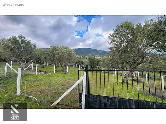 Kemalpaşa Sütçüler Satılık 331 m2 Bahçe - İZMİR KEMALPAŞA fotoğraf 3