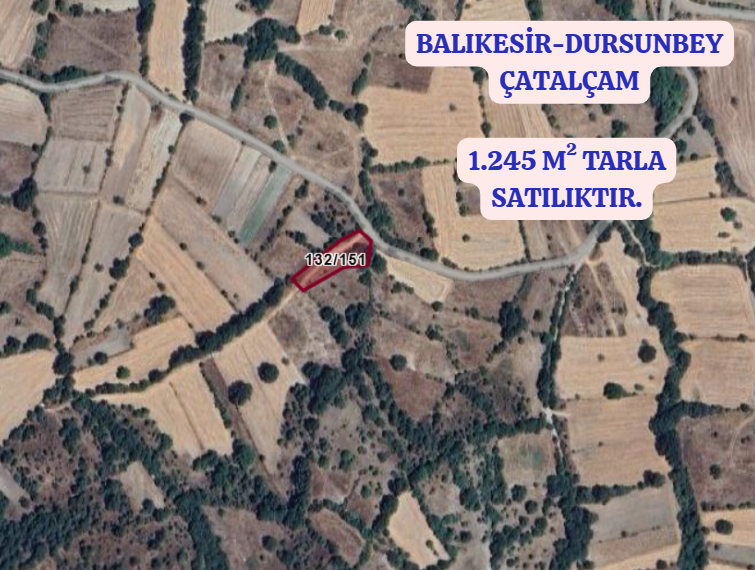 BALIKESİR DURSUNBEY ÇATALÇAM  KÖYÜNDE 1.245 M² TARLA SATILIKTIR - BALIKESİR DURSUNBEY fotoğraf 2
