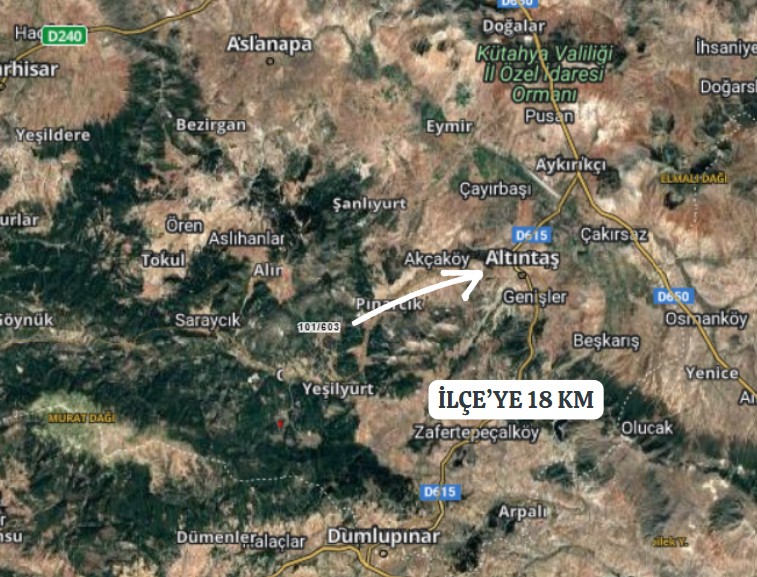 Fotoğraf