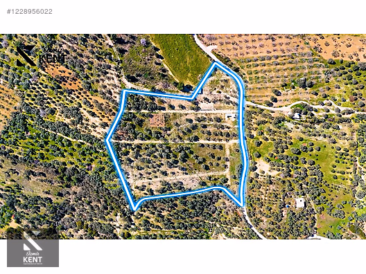 Kemalpaşa Vişneli Satılık 370 m2 Bahçe Elektrik Su Yol - İZMİR KEMALPAŞA fotoğraf 5