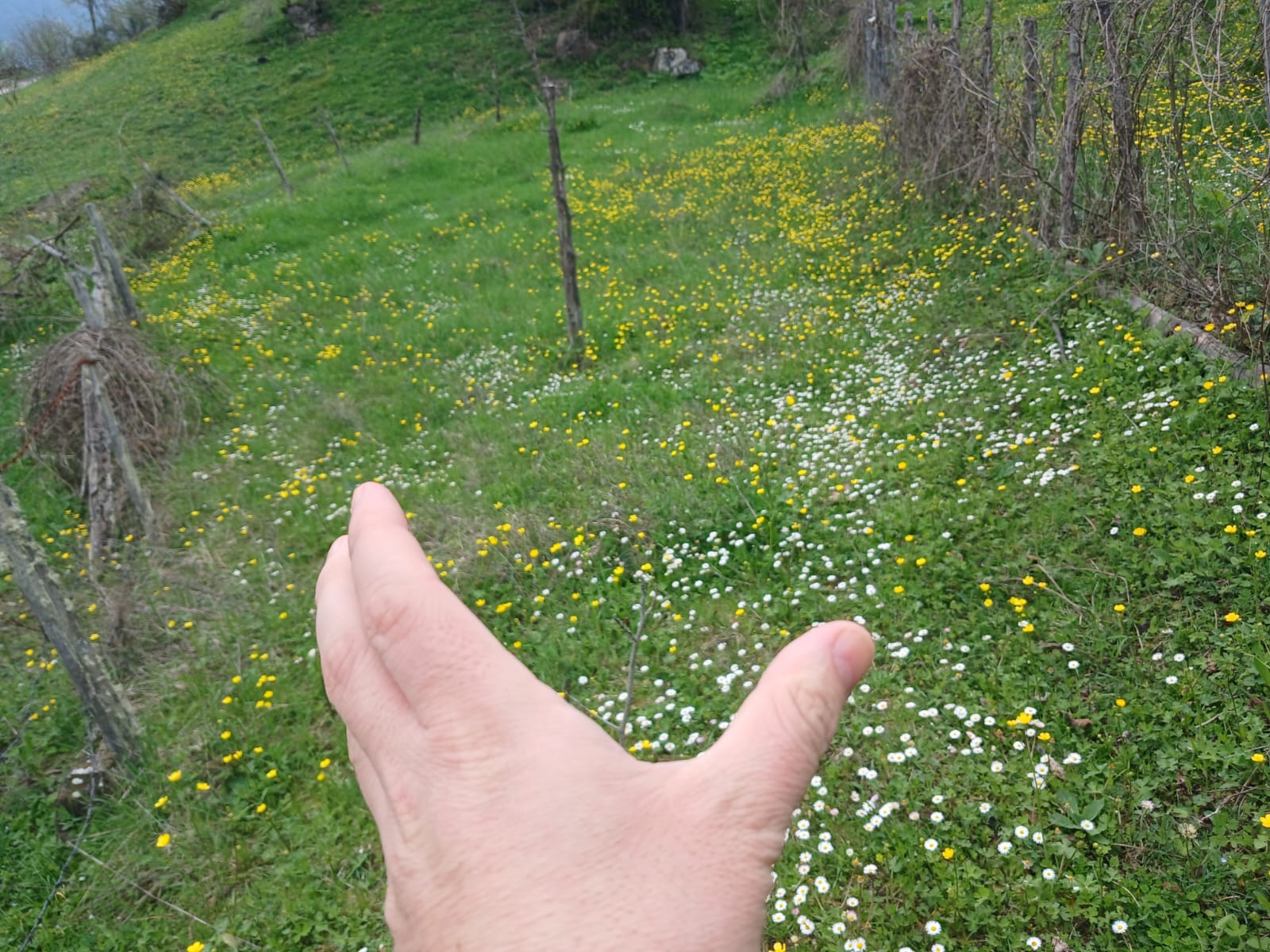 SİNOP DİKMEN AKÇAKESE KÖYÜ 109 M² BAHÇEMİZ SATILIKTIR. - SİNOP DİKMEN fotoğraf 17