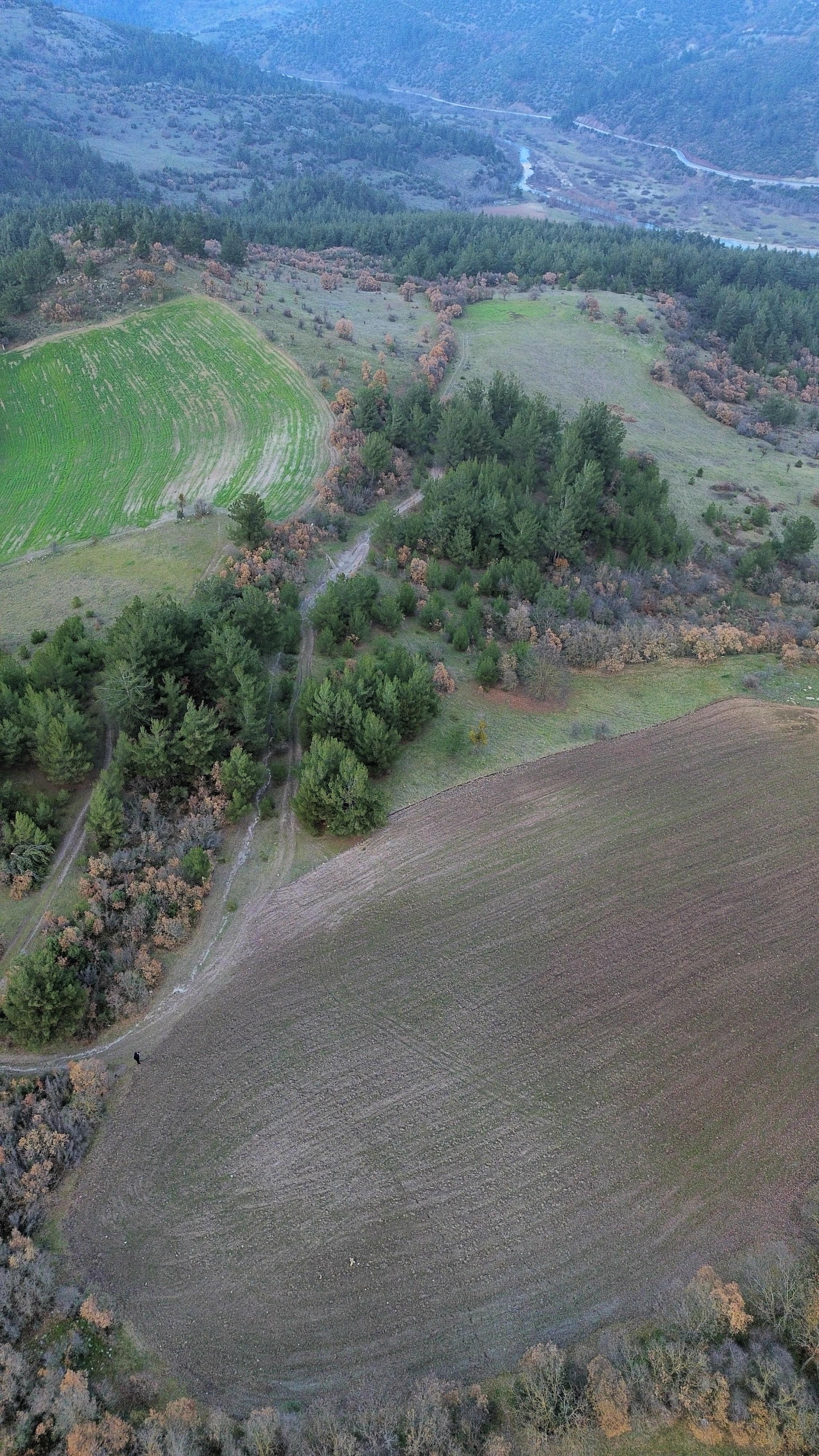 BALIKESİR SINDIRGI OSMANLAR  KÖYÜNDE  9.566   M²  TARLA  SATILIKTIR - BALIKESİR SINDIRGI fotoğraf 15