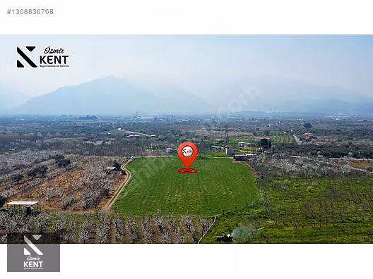 Kemalpaşa Ören 75. Yıl Satılık 8770 m2 Tek Tapu Tarla - İZMİR KEMALPAŞA fotoğraf 22