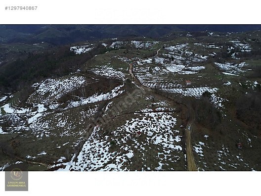 DÜZCE YIĞILCA HACILAR 'DA 2.744 M2 BAĞ EVİ OLAN FINDIK BAHÇESİ - DÜZCE YIĞILCA fotoğraf 16