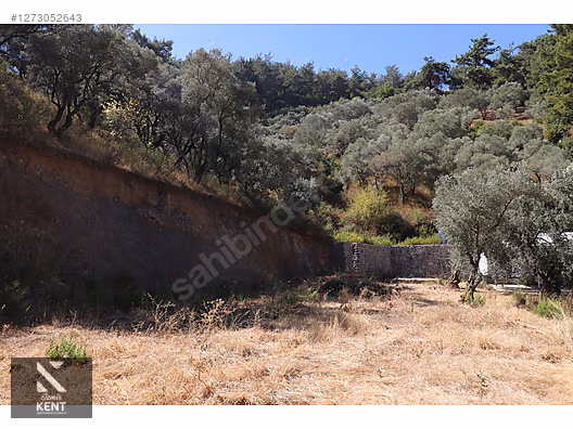 Kemalpaşa Aşağıkızılca Satılık 4536 m2 Bahçe - İZMİR KEMALPAŞA fotoğraf 42