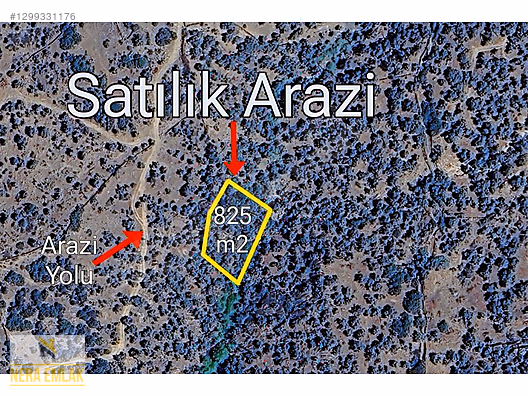 ÇİNE'YE İLÇE'YE 5dk.KADASTRO YOLLU TEK TAPU 825m2 ZEYTİNLİK - AYDIN ÇİNE fotoğraf 6