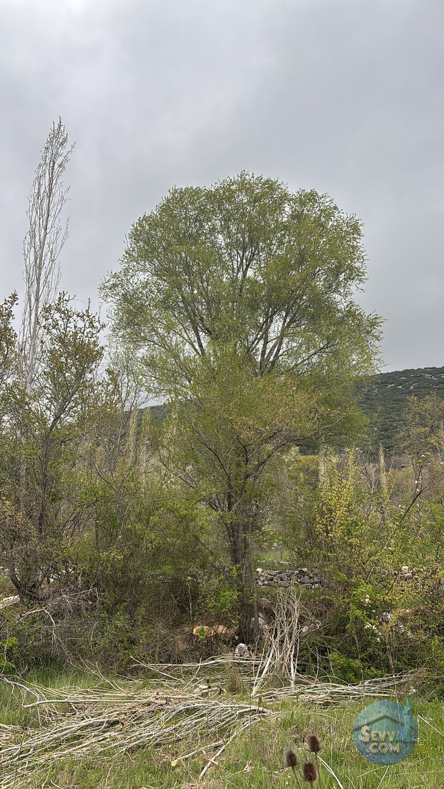 AĞLASUN BALA MAHALLESİ SATILIK FIRSAT ARAZİ - Burdur Ağlasun fotoğraf 18