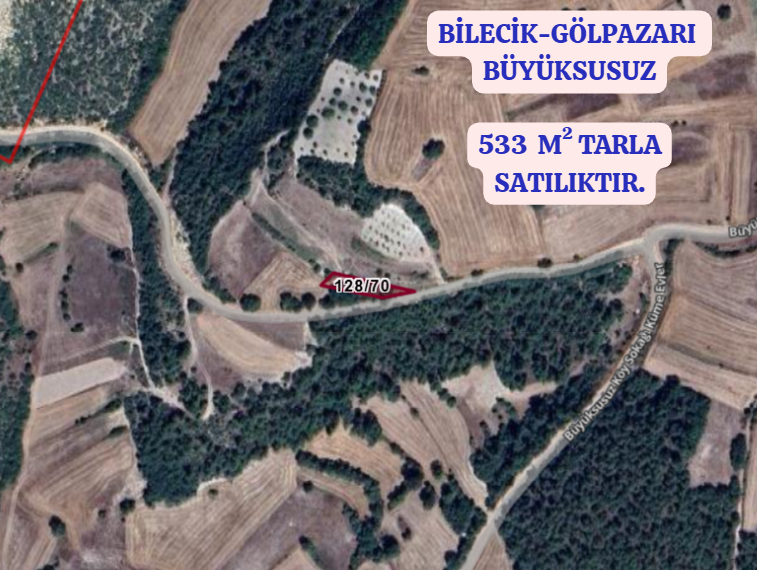 BİLECİK GÖLPAZARI BÜYÜKSUSUZ  KÖYÜNDE 533  M² TARLA   SATILIKTIR - BİLECİK GÖLPAZARI fotoğraf 2