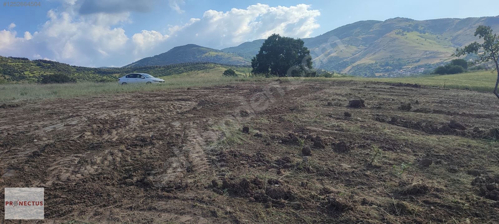 KIZDERBENT MAHALLESİNDE RESMİ YOLLU 2293 M2 SATILIK TARLA - KOCAELİ KARAMÜRSEL fotoğraf 6