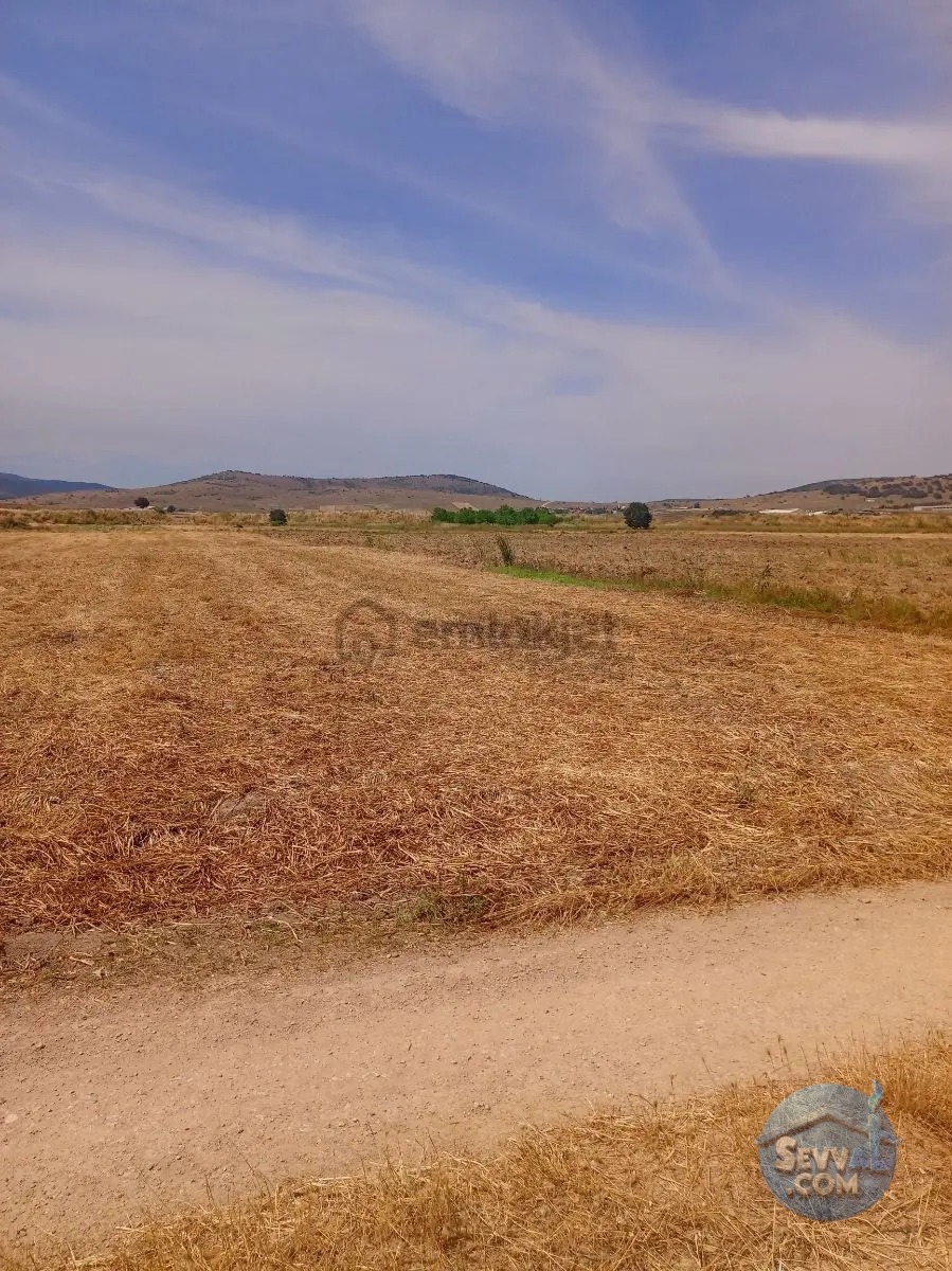 Gökçeyazı Da Kadastro Yolu Mevcut Tarla - BALIKESİR İVRİNDİ fotoğraf 19