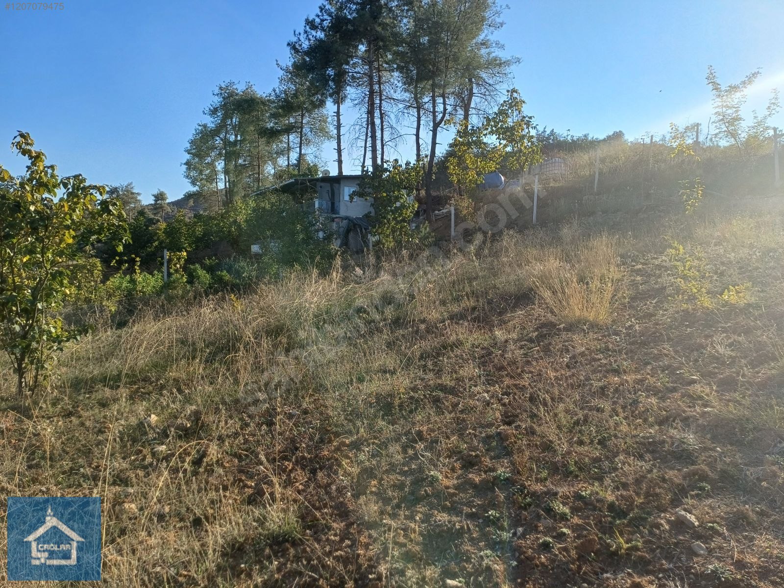 ÇAĞLAR'DAN TOPRAKDERE DE 823m2 MÜSTAKİL TARLA YOL+SU VAR - BURSA YENİŞEHİR fotoğraf 26