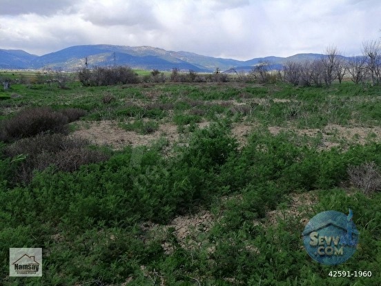 Çevreyoluna Çok Yakın 5 Dönüm Bahçe, 2 tarafı da yol - ANTALYA KORKUTELİ fotoğraf 40
