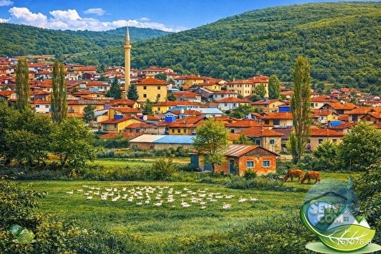 Aslanapa Çamdibinde Gölete Yakın, Orman Komşusu Fırsat Arazi - KÜTAHYA ASLANAPA fotoğraf 2