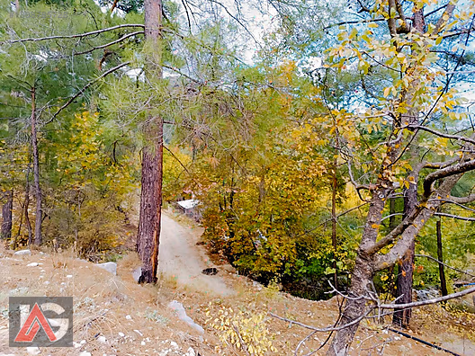 !!! FIRSAT TEKLİF !!! KARACAÖREN MAH. 564m2 ARAZİ UYGUN FİYAT !! - ANTALYA KUMLUCA fotoğraf 9