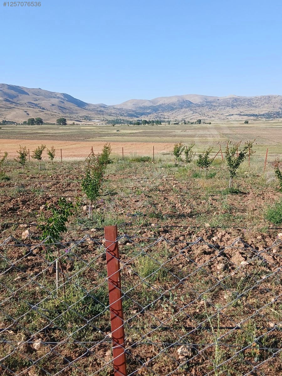 Antalya / Korkuteli / Sülekler Mahallesinde 2.171 M² SATILIK TARLA - ANTALYA KORKUTELİ fotoğraf 3