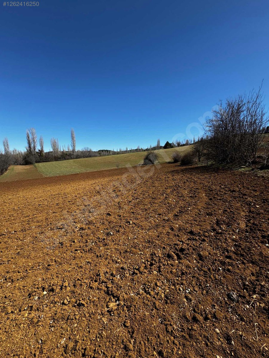 KÜTAHYA GEDİZ YENİGÜNEY  KÖYÜNDE 606   M² ARSA  SATILIKTIR - KÜTAHYA GEDİZ fotoğraf 7