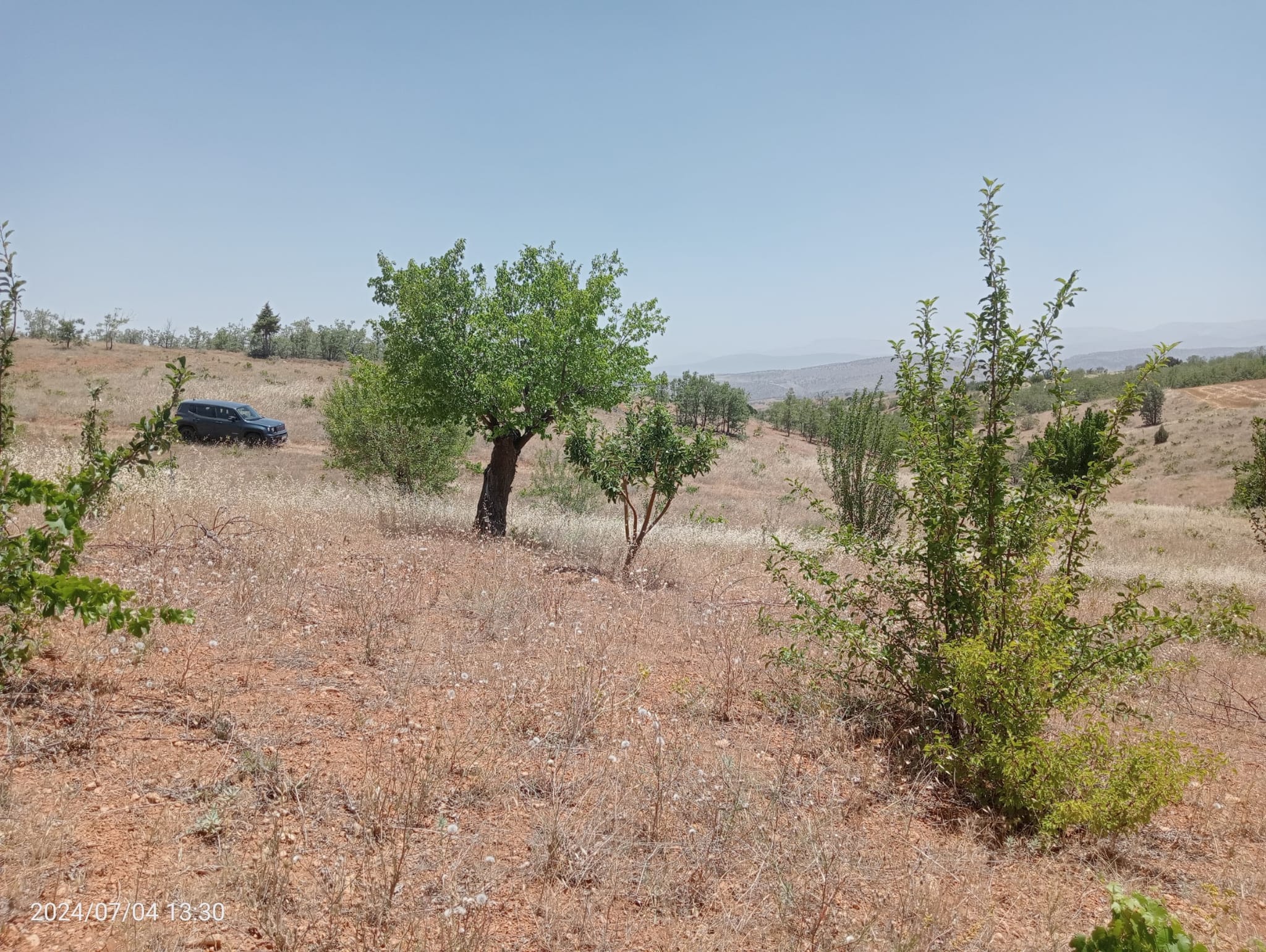 KARAMAN MERKEZ MURATDEDE  KÖYÜNDE 3.472  M²  BAĞ  SATILIKTIR - KARAMAN MERKEZ fotoğraf 9