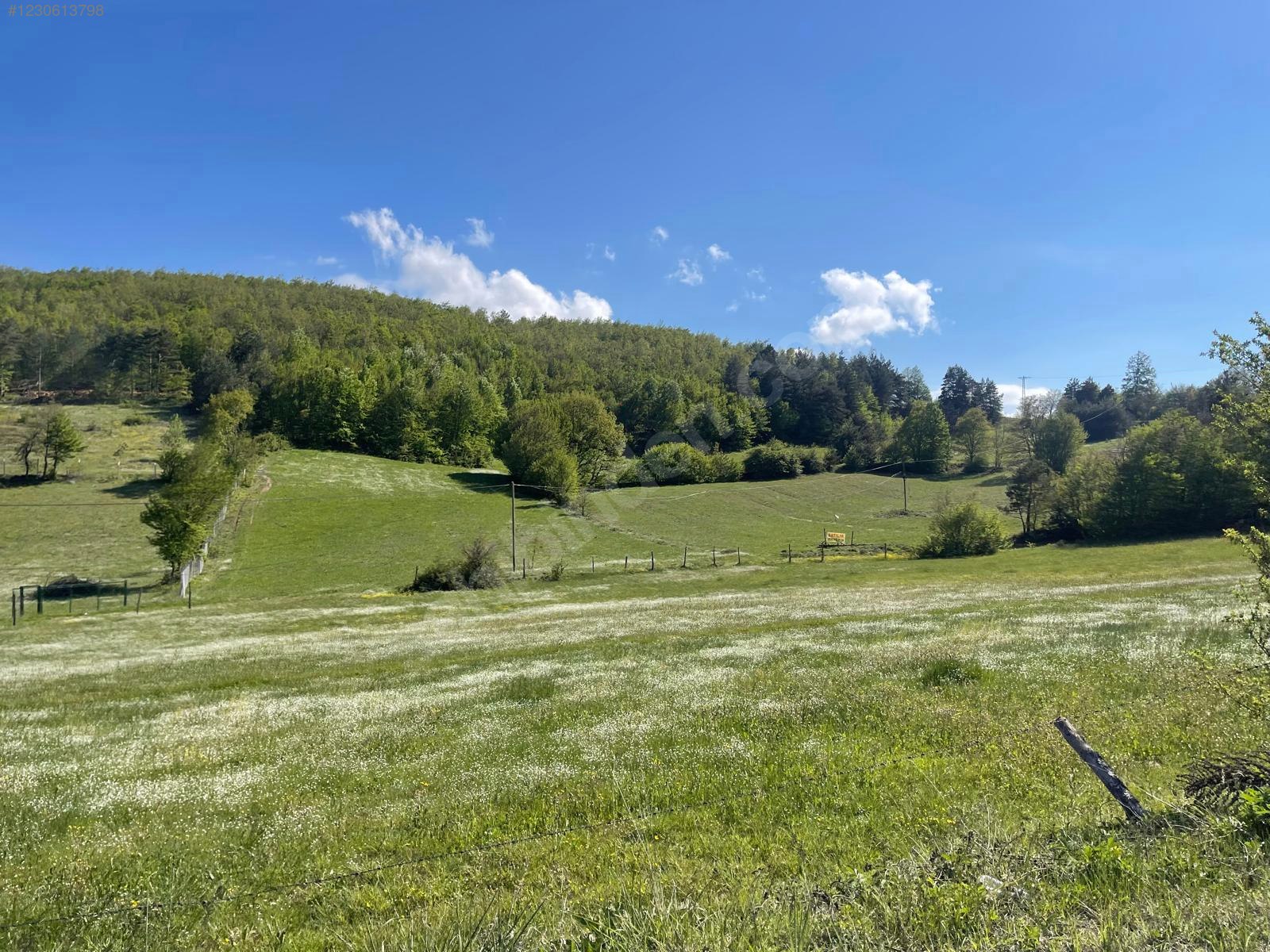 BURSA İZNİK CANDARLI'DA 6.517 M²  TARLA  SATILIKTIR. - BURSA İZNİK fotoğraf 20