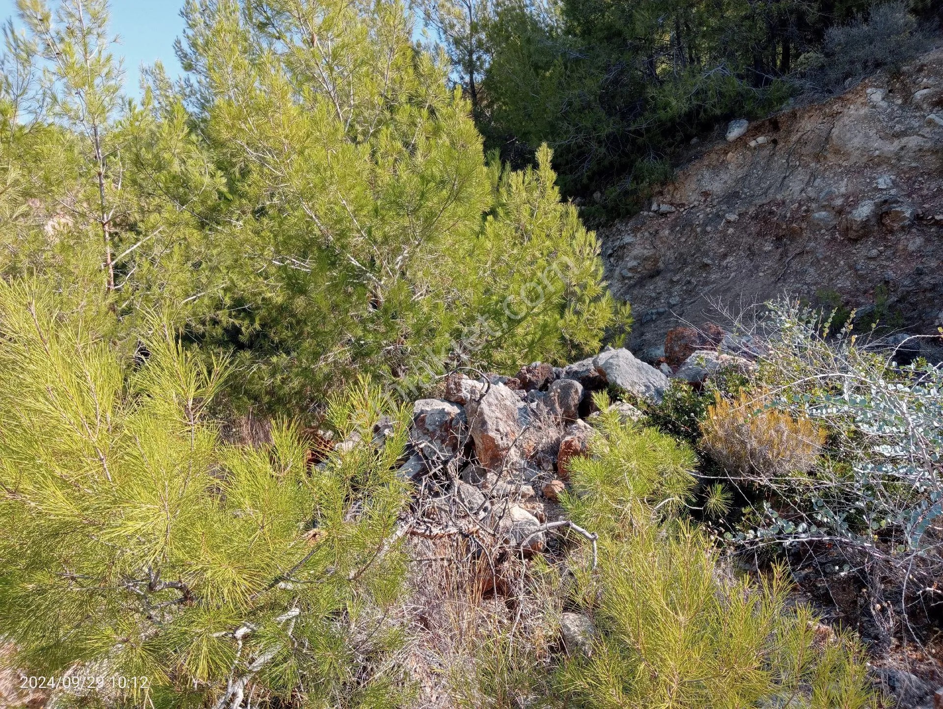 Antalya Kumluca Mavikent'te Satılık Arsa İnceoğlu Emlak - ANTALYA KUMLUCA fotoğraf 12