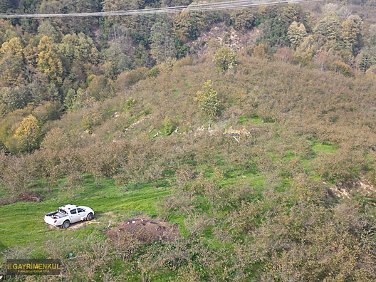 FIRSAT SAKARYA KARAPÜRÇEK İNÖNÜDE EV VE 16 DÖNÜM FINDIK BAHÇESİ - SAKARYA KARAPÜRÇEK fotoğraf 32