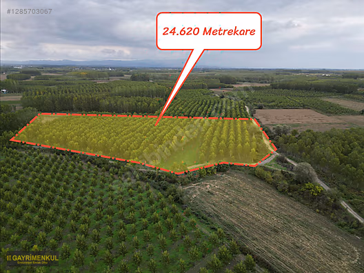 YATIRIM FIRSATI! ERENLER/ŞEYHKÖY MAH. 24.620 M² - SAKARYA ERENLER fotoğraf 13