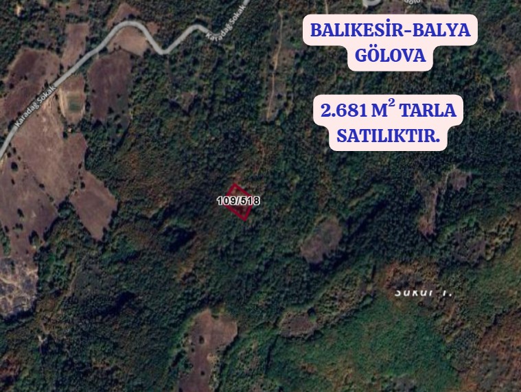 BALIKESİR BALYA GÖLOBA  KÖYÜNDE 2.681 M² TARLA SATILIKTIR - BALIKESİR BALYA fotoğraf 2