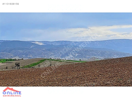 Araç Takaslı - BİLECİK YENİPAZAR fotoğraf 28