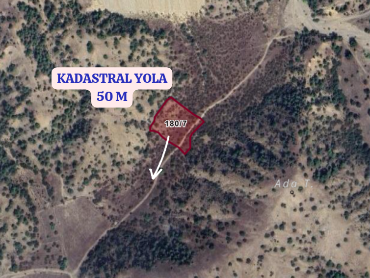 BİLECİK SÖĞÜT TUZAKLI   KÖYÜNDE 3.567 M²  BAHÇE  SATILIKTIR - BİLECİK SÖĞÜT fotoğraf 3