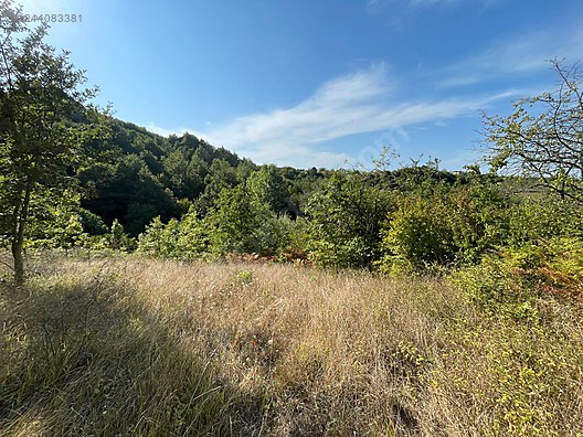 KOCAELİ İZMİT  ORTABURUN   MAHALLESİNDE 3.788 M²  TARLA  SATILIKTIR - KOCAELİ İZMİT fotoğraf 4