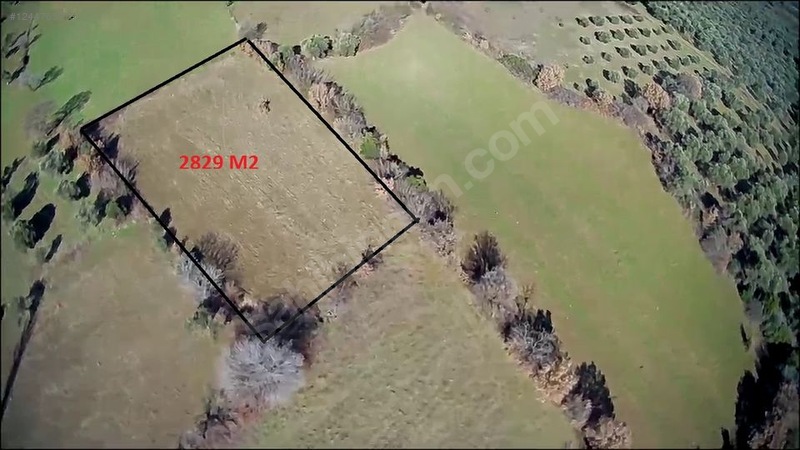 *ARYA*DAN YUNUSLAR KÖYÜNDE 2900 M2 DÜZ ZEMİN TARLA - BALIKESİR BURHANİYE fotoğraf 4