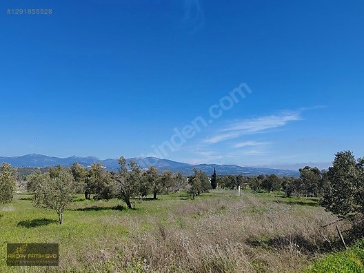 HAVRAN MESCİT MAHALLESİ OTOYOLA YAKIN 10 DÖNÜM SATIILIK ZEYTİNLİ - BALIKESİR HAVRAN fotoğraf 16
