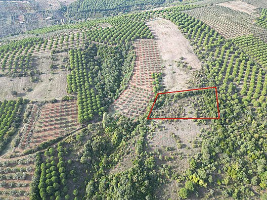BURSA KARACABEY OKÇULAR  KÖYÜNDE 3.900 M TARLA SATILIKTIR - BURSA KARACABEY fotoğraf 7