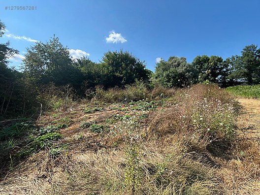 KOCAELİ KANDIRA TEKSEN  KÖYÜNDE 641 M²  TARLA  SATILIKTIR - KOCAELİ KANDIRA fotoğraf 17