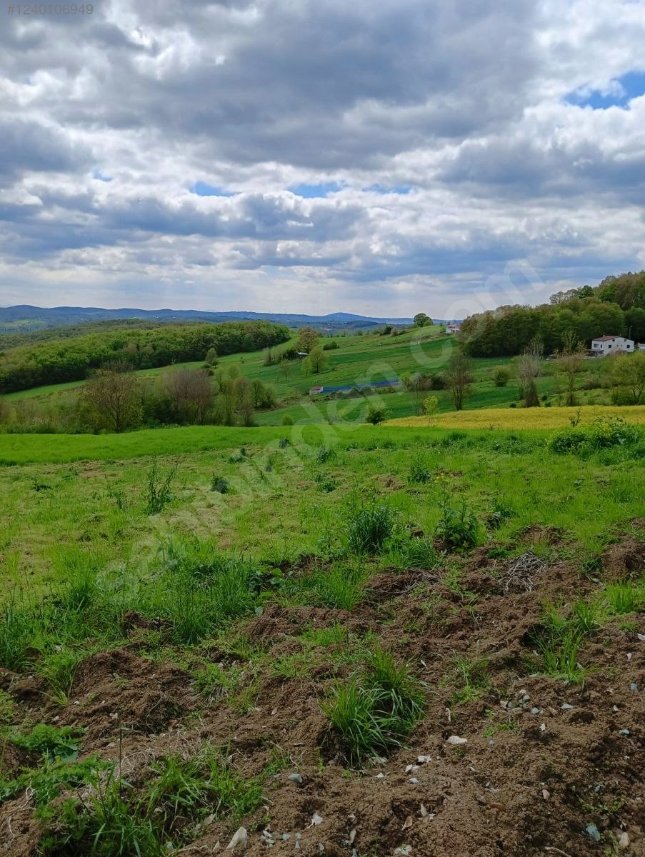 Ormana Komşu Doğayla İç İçe Harika Bir Yer - KOCAELİ İZMİT fotoğraf 3