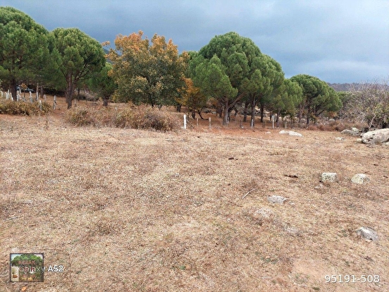 KOZAK YAYLASINDA HACIHAMZALAR MAH DE 4 PARÇA MÜSTAKİL TAPULU PARSEL YOLLU YER - İZMİR BERGAMA fotoğraf 13