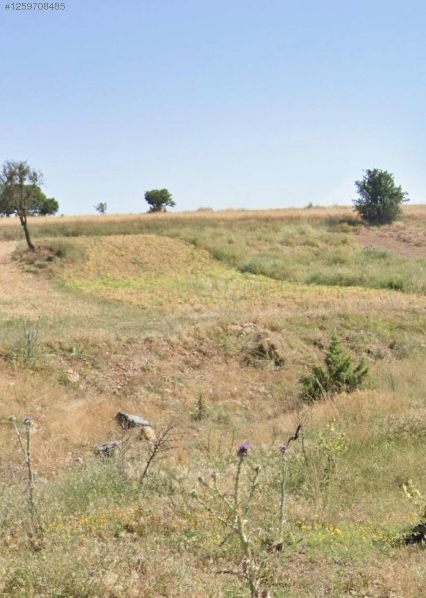 KÖY İÇİ %40 2 KAT İMARLI 942M² KAÇIRILMAYACAK ARSA !!! - KÜTAHYA ÇAVDARHİSAR fotoğraf 2