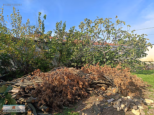 Bursa Mudanya Akköy Köyü'nde Satılık İmarlı Arsa - BURSA MUDANYA fotoğraf 12
