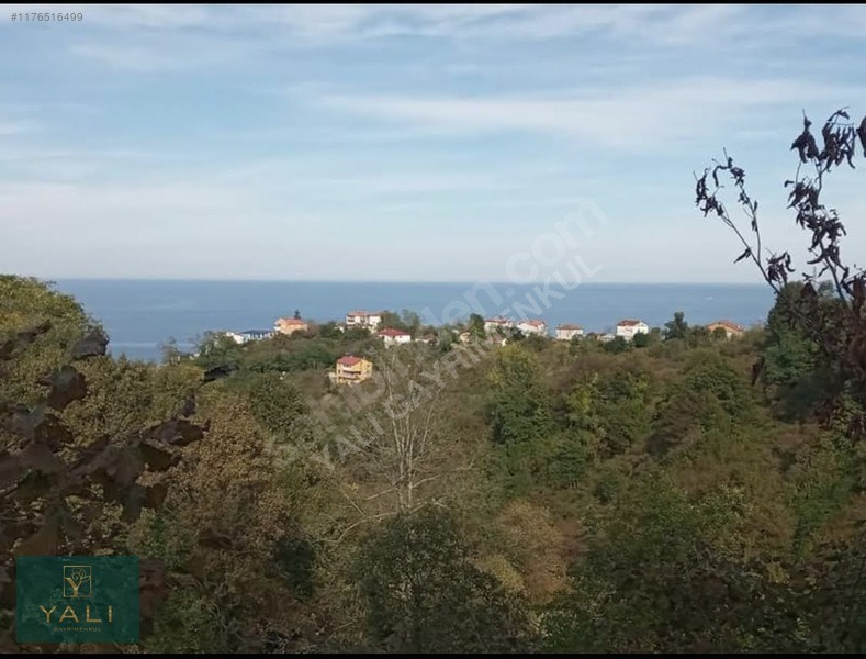 YALI GAYRİMENKUL | BURUNUCU/TALİPLİ'DE SATILIK 4'DÖNÜM ARSA - GİRESUN BULANCAK fotoğraf 11