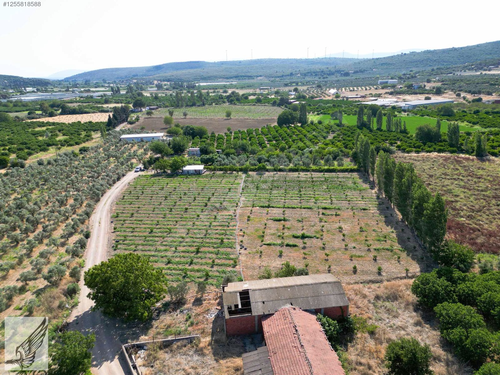 Seferihisar Turgut Köyünde 7.500M² Satılık Tarla - İZMİR SEFERİHİSAR fotoğraf 4