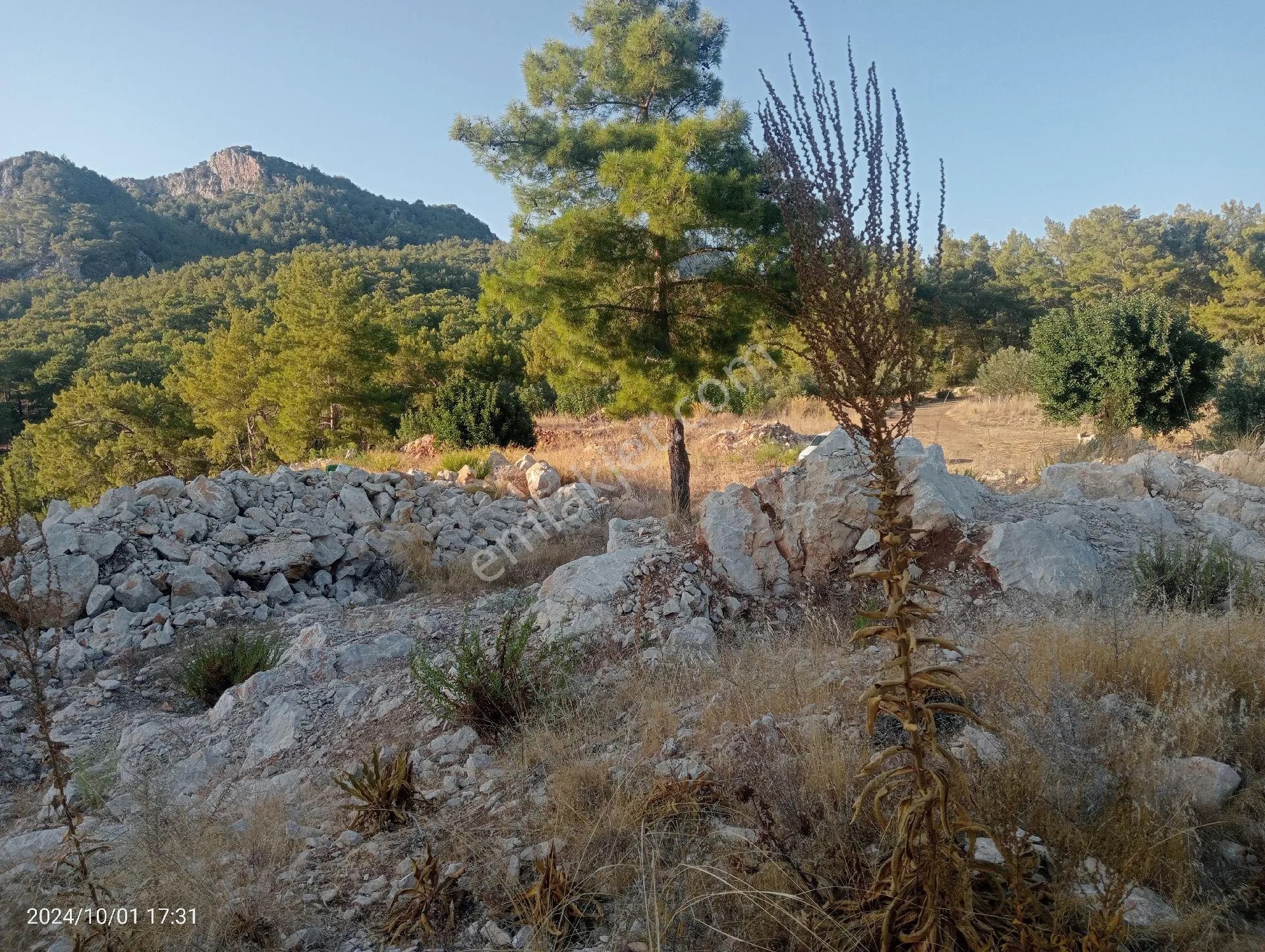 Antalya Kumluca Mavikent'te Satılık Tarla İnceoğlu Emlak - ANTALYA KUMLUCA fotoğraf 7